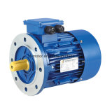 315kw, 4-Pole Ie2 Series 3-Phase Asynchronous Cast Iron Housing Induction Motor