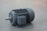 Yd Series Pole-Changing Induction Motor