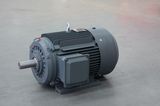 Yd Series Pole-Changing Induction Motor