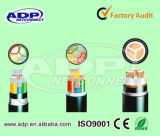 XLPE Insulated /Armoured /PVC Sheathed Power Cable 0.6/1 Kv Cable