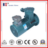 Variable-Frequency AC Asynchronous Motor with High Quality