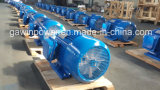 0.5~430HP Y Series Induction Electric Motor