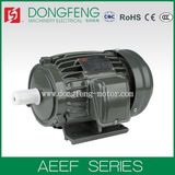 IEC and DIN42673 Standards AEEF Series Fan Cooling Induction Motor 30kw