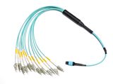 8/12/24 Fanout/Breakout Fiber Optical Cable with LC Connector
