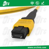 8f/12f/24f MPO-MPO Patchcord Jumper Optical Fiber Connector Sm Ofnp Lowloss 15 Meters