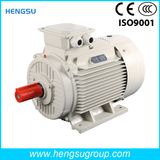 Ye3 110kw-2p Three-Phase AC Asynchronous Squirrel-Cage Induction Electric Motor for Water Pump, Air Compressor