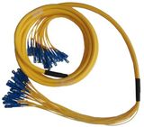 24 Core Singlemode Sc/Upc-Sc/Upc Fan-out Fiber Patch Cord