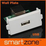 USB Female to Female Wall Plate, AV Face Plate (9.1129)