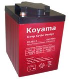 High Capacity 225ah, 6V Deep Cycle Boat Battery Floor Washer Battery DC225-6