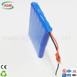 LED Street Light Battery Pack OEM 11.1V 10.4ah Lithium Battery