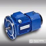 High-Quality AC Motor with Brake