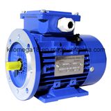 Industry Electric Motor for Exporting