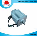 80bl3a90 310VDC 250W 0.8n. M 3000rpm 1.1A Brushless DC Motor