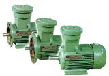 Three-Phase Exposion-Protection Motor Hot Sale