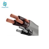 600V Copper Aluminum XLPE Insulated PVC Covered Ser Electric Wire Cable