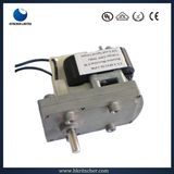 2-50W 110V/220V AC Gear Motor for BBQ