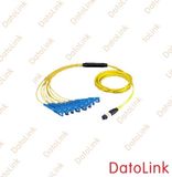 MPO Fiber Optic Patch Cord