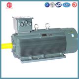 Low Voltage Large Power Three Phase Asynchronous Motor