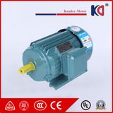 Y2 Series Asynchronous Electric AC Motor