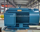 Permanent Magnet Motor