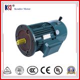 380volt AC Brake Motor with High Speed