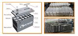 China Lead Acid Battery 12V4ah, for UPS/Alarm/Lighting
