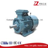 Size 80-225m Electromagnetic Brake Three Phase Induction Electric Motor