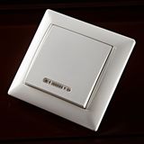 One Way Switch Illuminated G2121