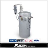 13.8kv 167kVA Pole Mounted Oil Type Completely Self Protection Transformer