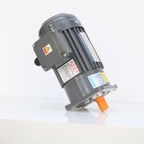 Vertical High Ratio Aluminum / Steel Plate 3-Phase (Brake) Geared Motor