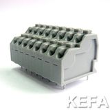 PCB Screwless Terminal Block Connector with Dual Row 300V 10A 22-18AWG