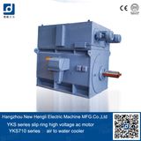 Yks Cage High Voltage Electrical Motor, AC Electrical Motor