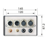 Stainless XLR Wall Plate, USA Style Wall Mount Plate (9.1074)
