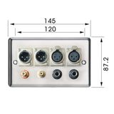 Stainless XLR Wall Plate, USA Style Wall Mount Plate (9.1074)