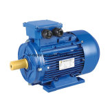 90kw, 4-Pole Ie2 Series 3-Phase Asynchronous Cast Iron Housing Induction Motor