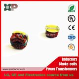 Toroidal Core Inductor Common Mode Inductor with RoHS for Audio