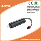 24V DC Worm Gear Motor for Massager and Medical Equipment
