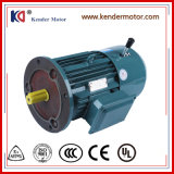 Yej Series Electrical Motor with Factory Price