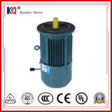 AC Electric 3 Phase Motor with High Efficiency