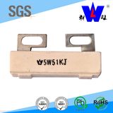 Ceramic Inverter Brake Resistor Resistor 5W 51kj