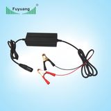 Input DC12V Output 42V 2A Battery Charger for Car Factory