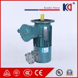 Frequency-Conversion AC Induction Motor for Transport Machinery