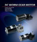 12V DC Worm Gear Motor for Golf Cart