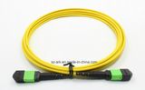 MPO/APC to MPO/APC Fiber Optical Patchcord