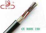 Central Loose Tube GYTY53 Fiber Optic Cable/Computer Cable/Data Cable/Communication Cable/Audio Cable/Connector