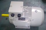 Ie1 Ie2 (CE) Y2 Three Phase Electric Motor (Y2-200L-4)