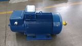 Electric Motor/ Hoisting Motor/ Crane Motor/ AC Motor