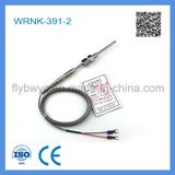 Wrnk-391-2 Exhaust Gas Temperature Sensor