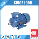 Ms Series Aluminum Electric Motor 250 Kw 3 Phase Squirrel Cage Induction Motor 50Hz