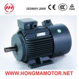 10pole 90kw Frequency-Variable Induction Motor (355-1-90kw)
